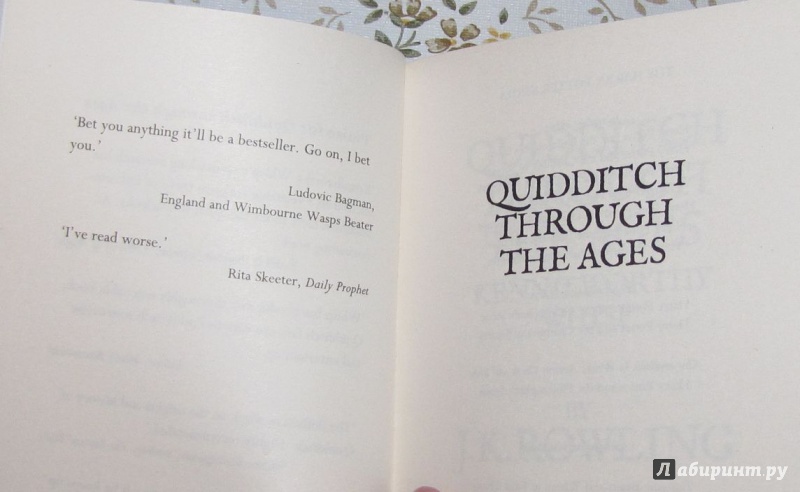 Иллюстрация 25 из 27 для Quidditch Through the Ages. Kennilworthy Whisp - Joanne Rowling | Лабиринт - книги. Источник: V  Marisha