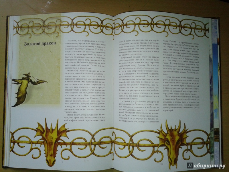 Иллюстрация 22 из 50 для Книга дракона - Кабрал Сируелло | Лабиринт - книги. Источник: Пастухова  Инна