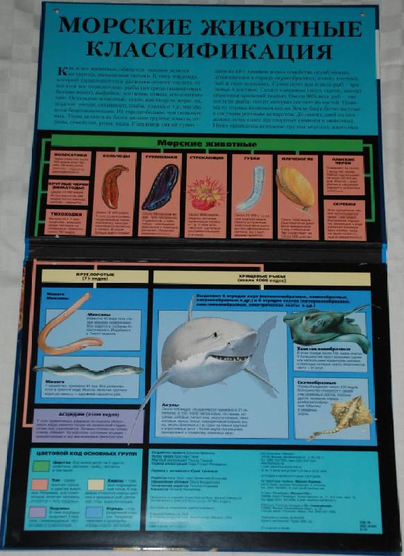 Иллюстрация 2 из 10 для Энциклопедия морских животных | Лабиринт - книги. Источник: МаRUSя