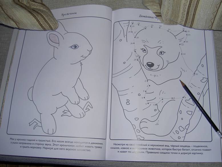 Иллюстрация 2 из 32 для Детёныши - Эмма Сэл | Лабиринт - книги. Источник: Байбулатов  Ильдар