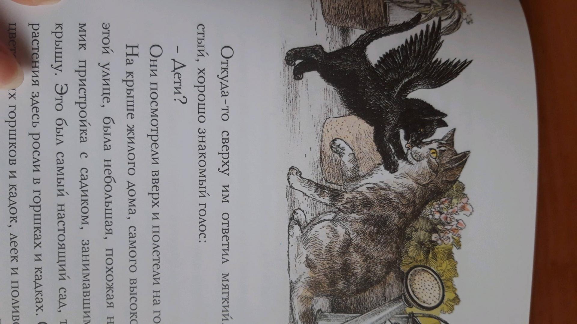 Иллюстрация 37 из 38 для Крылатые кошки возвращаются - Гуин Ле | Лабиринт - книги. Источник: Лабиринт