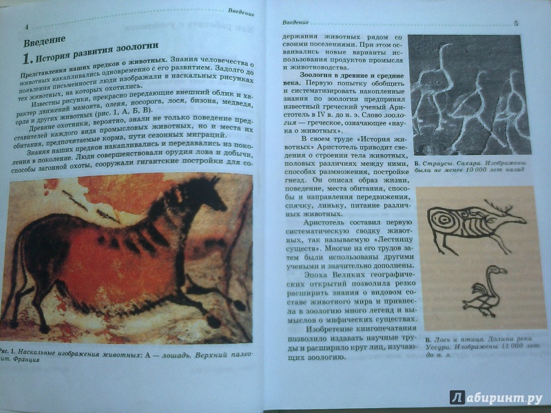 Иллюстрация 28 из 49 для Биология. Животные. 7 класс. Учебник - Латюшин, Шапкин | Лабиринт - книги. Источник: Юлиана  Юлиана