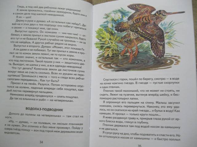 Иллюстрация 22 из 46 для Лесные сказки - Николай Сладков | Лабиринт - книги. Источник: NINANI
