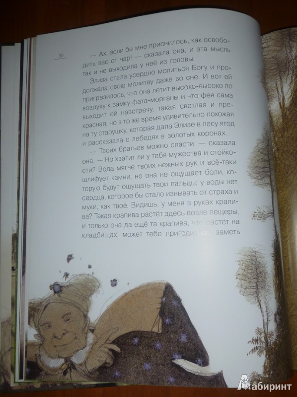 Иллюстрация 23 из 40 для Дикие лебеди - Ганс Андерсен | Лабиринт - книги. Источник: дева