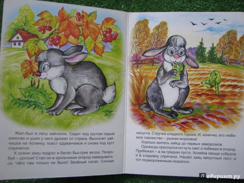 Рассказ про зайчонка. Зайцы в сказках. Заяц путешественник Атаманов. Сказки старшая группа про зайца. Иллюстрация жалобы зайки.