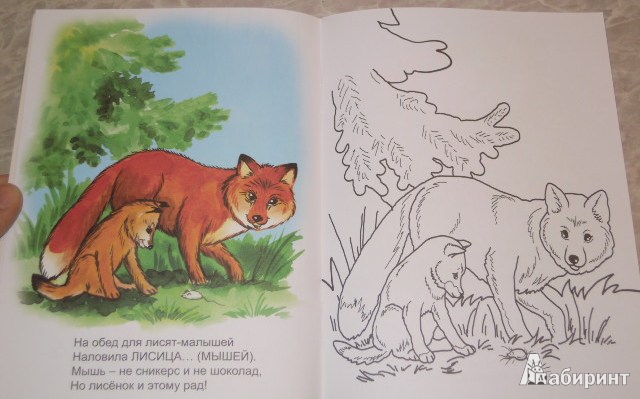 Иллюстрация 4 из 34 для У зверей лесной обед - Юрий Чичев | Лабиринт - книги. Источник: Iwolga