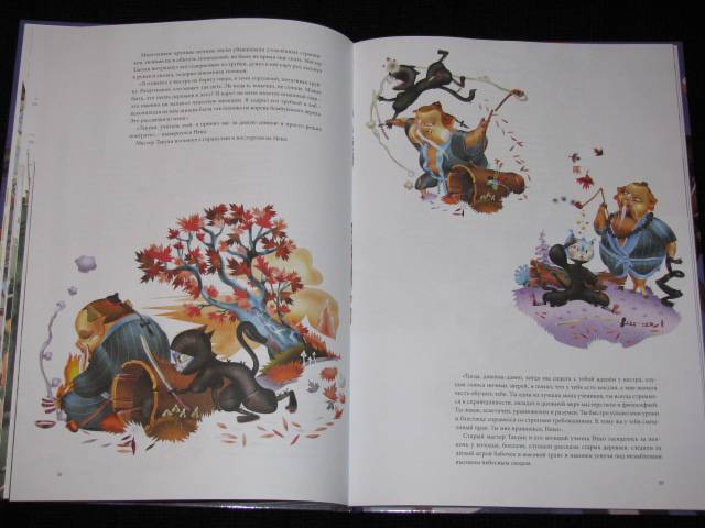 Иллюстрация 18 из 22 для Кот-ниндзя - Роза Ликсом | Лабиринт - книги. Источник: Nemertona