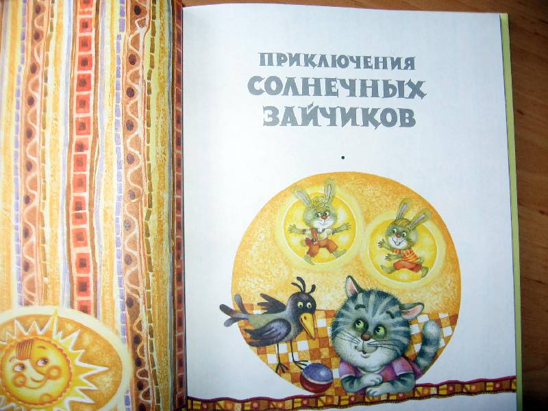 Иллюстрация 29 из 47 для Приключения солнечных зайчиков - Валерий Медведев | Лабиринт - книги. Источник: Red cat ;)
