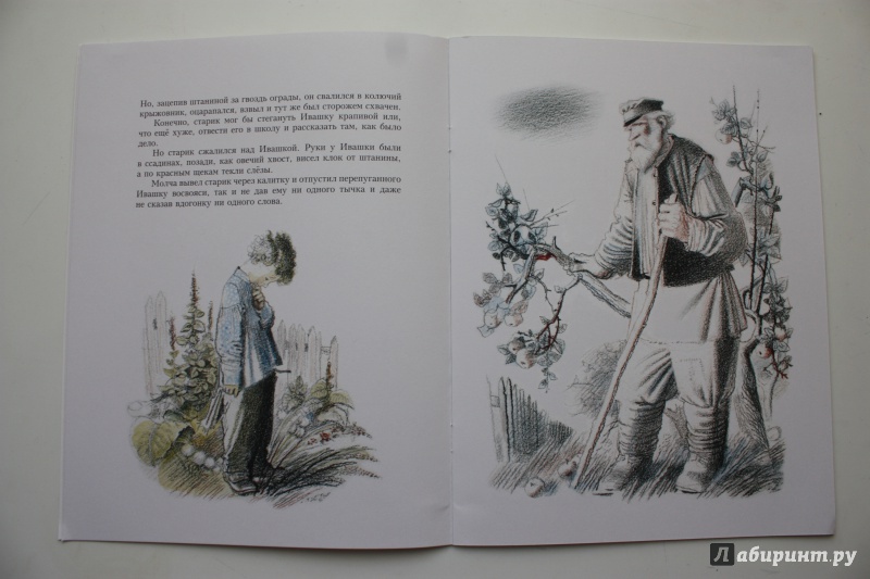 Иллюстрация 13 из 35 для Горячий камень - Аркадий Гайдар | Лабиринт - книги. Источник: Bradbury