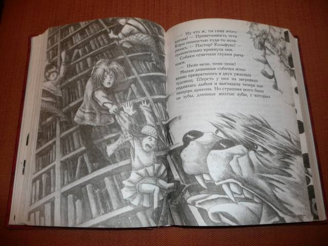 Иллюстрация 7 из 15 для Альбертина и Дом тысячи чудес: Роман - Райфенберг, Штратманн | Лабиринт - книги. Источник: КалинаМалина