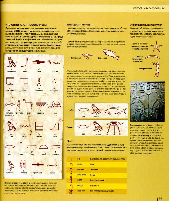 Иллюстрация 20 из 30 для Тайные знаки | Лабиринт - книги. Источник: avolon