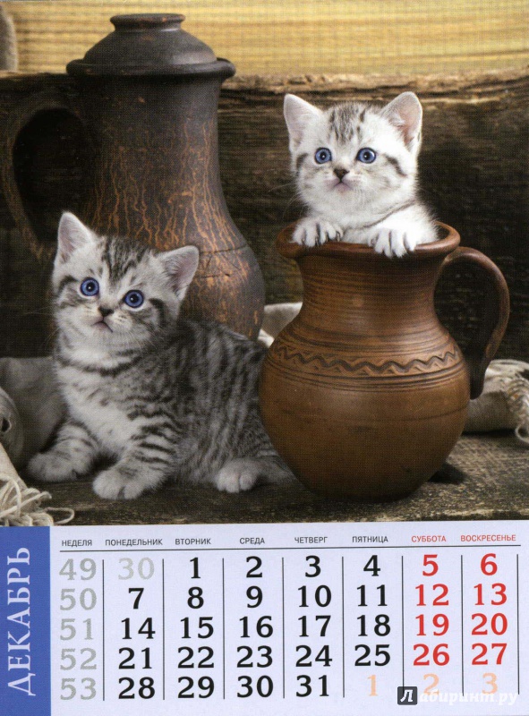 Иллюстрация 12 из 19 для Календарь на 2015 год "Кошки" (на магнитном креплении) (35772-36) | Лабиринт - сувениры. Источник: Кулагина  Марина Михайловна