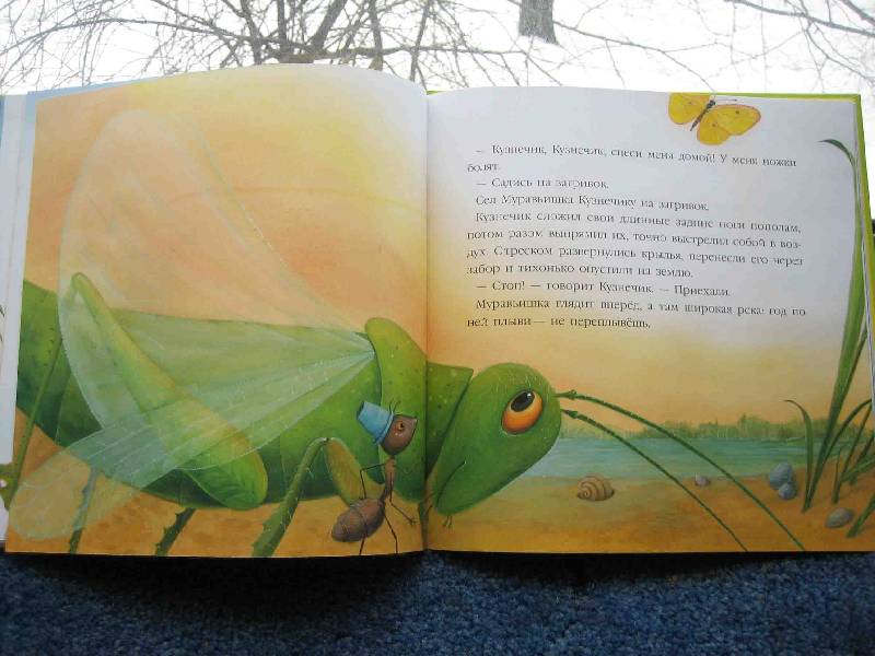 Иллюстрация 7 из 39 для В подарок малышу: Лесные сказки - Виталий Бианки | Лабиринт - книги. Источник: Трухина Ирина