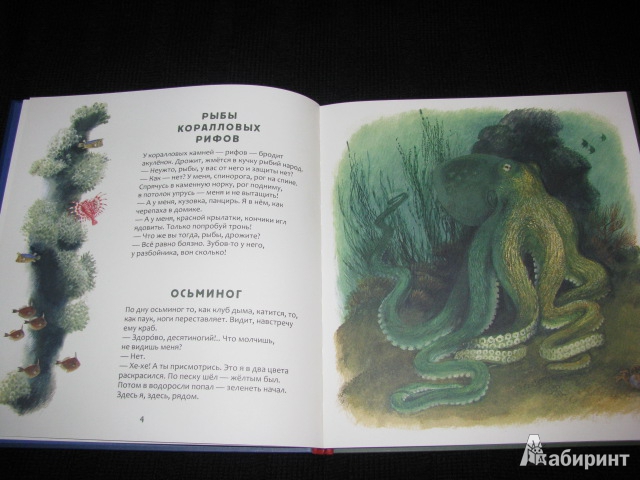 Иллюстрация 50 из 61 для Кто в море живет - Святослав Сахарнов | Лабиринт - книги. Источник: Nemertona