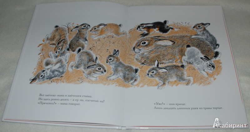 Иллюстрация 35 из 38 для Луговая считалочка - Джон Лангстафф | Лабиринт - книги. Источник: Книжный кот