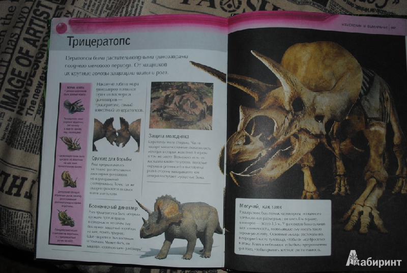 Иллюстрация 6 из 7 для Современная энциклопедия динозавров - Майк Бентон | Лабиринт - книги. Источник: Flittermouse