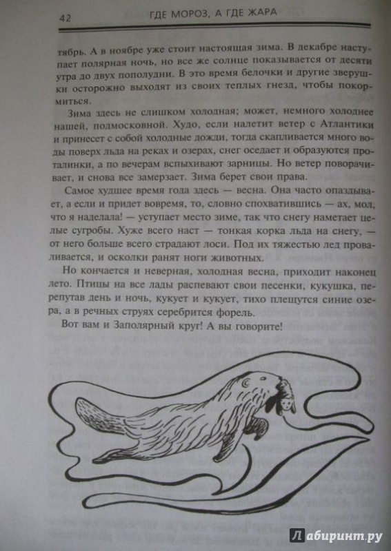 Иллюстрация 7 из 23 для Где мороз, а где жара - Марта Гумилевская | Лабиринт - книги. Источник: Леан