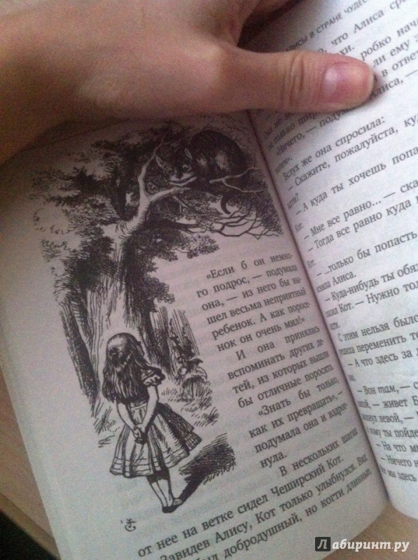 Иллюстрация 4 из 6 для Алиса в Стране Чудес - Льюис Кэрролл | Лабиринт - книги. Источник: Демина  Ксения