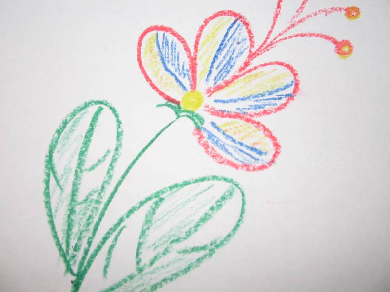 Иллюстрация 5 из 6 для Восковые мелки акварельные, 6 цветов "Zanzibar" (880626-02) | Лабиринт - канцтовы. Источник: Рыженький