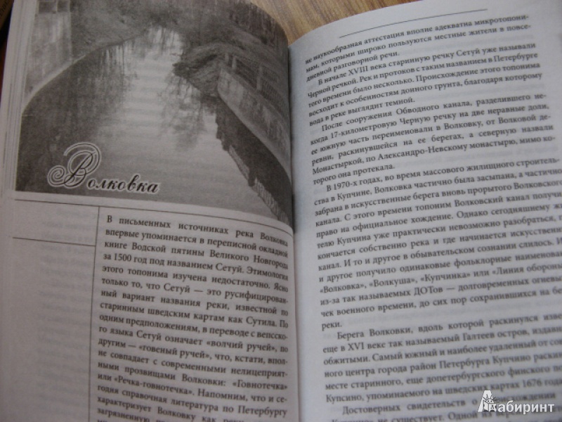 Иллюстрация 13 из 16 для Легенды Петербургских мостов и рек - Наум Синдаловский | Лабиринт - книги. Источник: Лунный кот