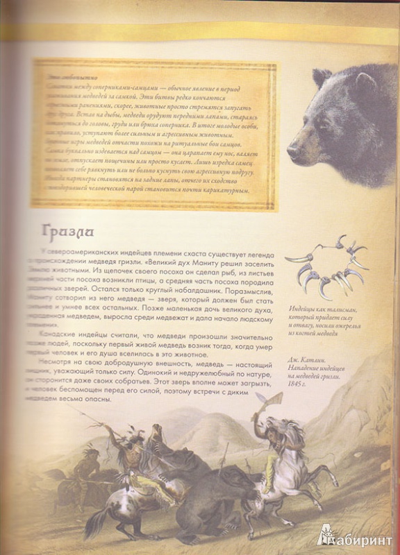 Иллюстрация 5 из 31 для Животные в мифологии - Андрей Гапченко | Лабиринт - книги. Источник: Ёжик