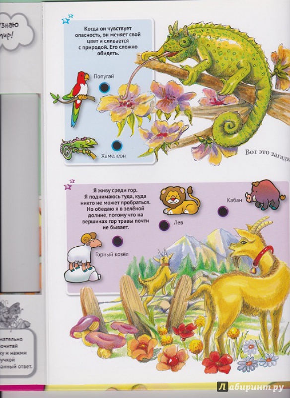 Иллюстрация 28 из 42 для Для малышей загадки о животных | Лабиринт - книги. Источник: Моисеева  Ирина