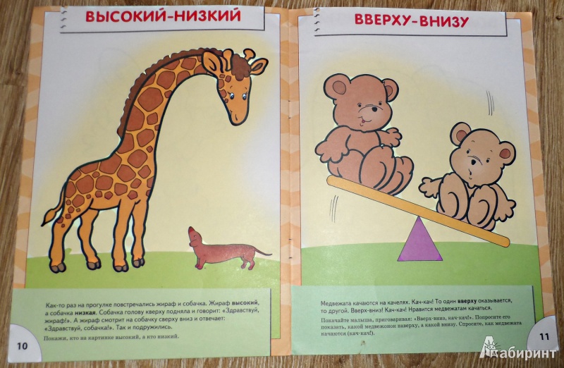 Иллюстрация 20 из 35 для Полный годовой курс. Для занятий с детьми от 1 года до 2 лет. 12 книг с картонными вкладками | Лабиринт - книги. Источник: Sadalmellik
