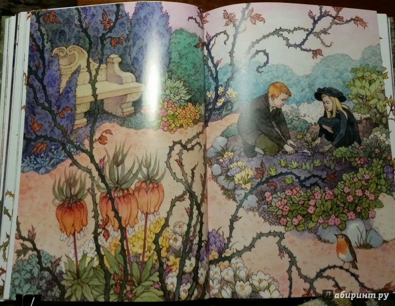 Иллюстрация 40 из 64 для Таинственный сад - Фрэнсис Бёрнетт | Лабиринт - книги. Источник: Чернец Наталья