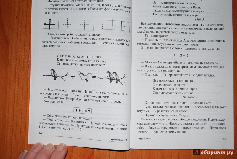 Иллюстрация 20 из 24 для Путешествие в Цифроград. Вторая математическая сказка - Татьяна Шорыгина | Лабиринт - книги. Источник: Нади