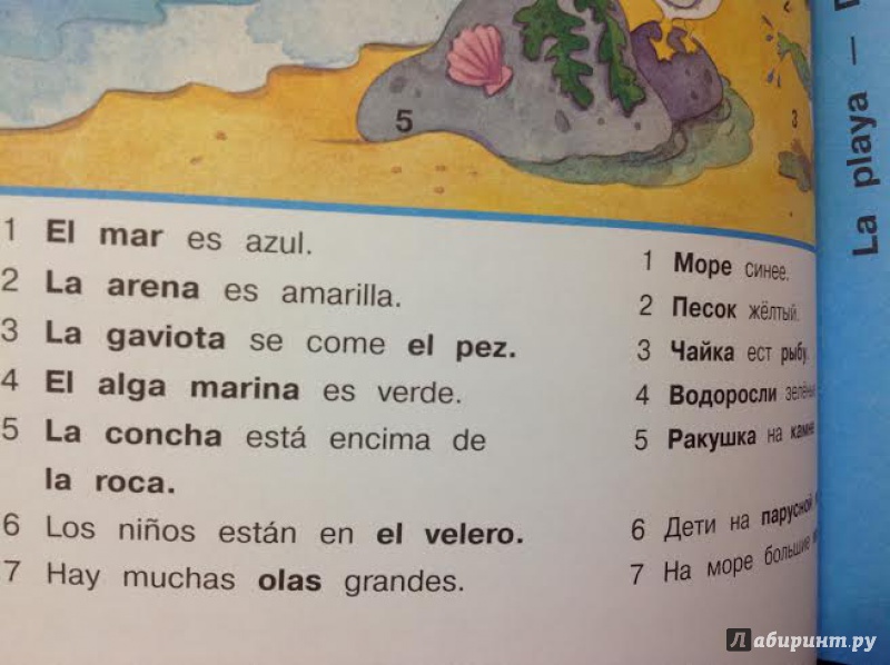 Иллюстрация 10 из 39 для Испанский язык. Спрячь и скажи - Бруццоне, Мартино | Лабиринт - книги. Источник: Sage Tea