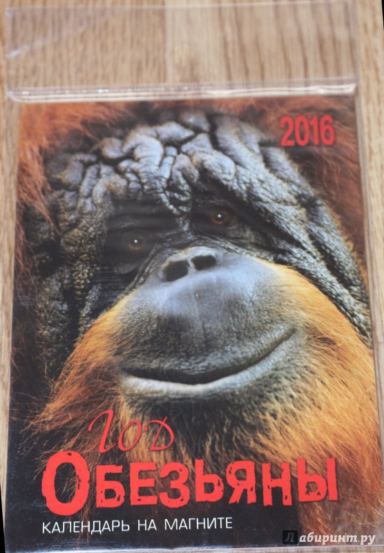 Иллюстрация 1 из 12 для Календарь на магните. 2016 Год обезьяны (прямоугольный) | Лабиринт - сувениры. Источник: Террил