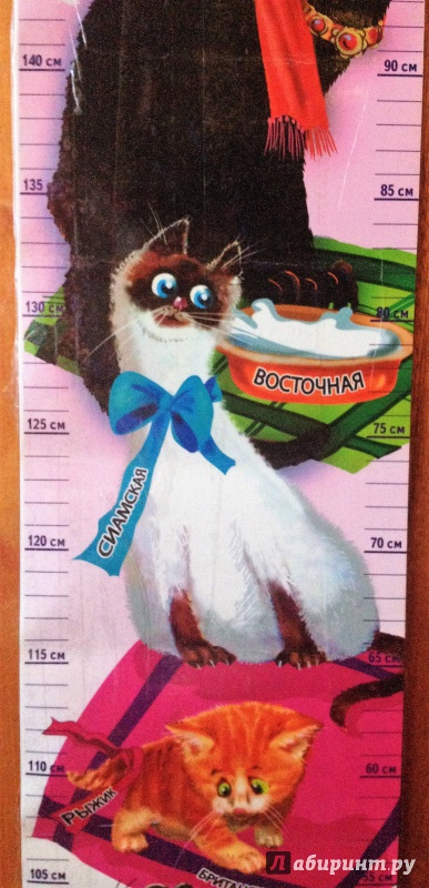 Иллюстрация 3 из 6 для Ростомер "Кошки" | Лабиринт - игрушки. Источник: Vera Ustyughantseva