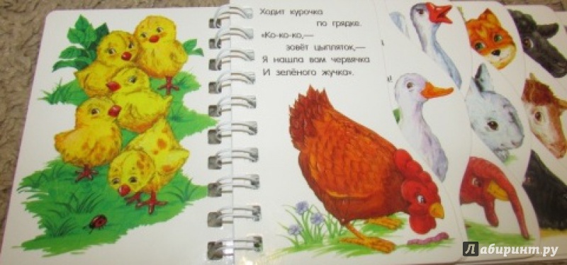 Иллюстрация 11 из 31 для На ферме - Юлия Каспарова | Лабиринт - книги. Источник: maturka