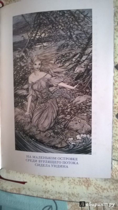 Иллюстрация 45 из 53 для Ундина - Фуке Де Ла Мотт Фридрих | Лабиринт - книги. Источник: LanaHoffmann