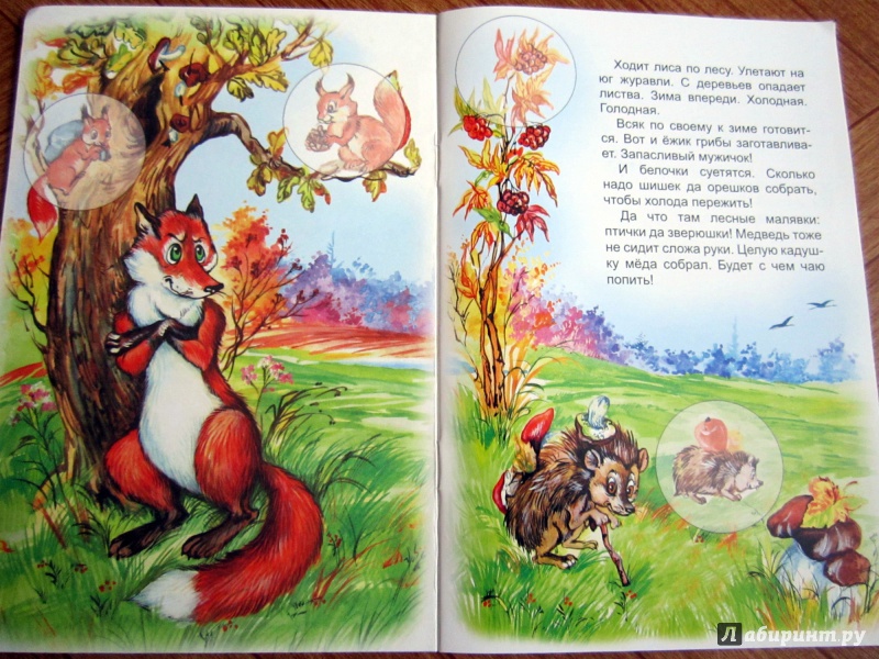 Иллюстрация 2 из 27 для Лиса и медведь | Лабиринт - книги. Источник: Гончарова  Ирина