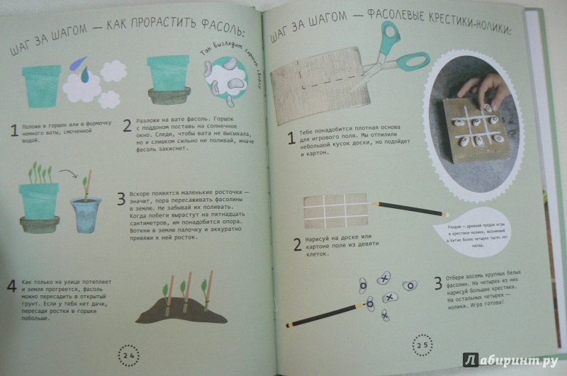 Иллюстрация 10 из 28 для Огород на подоконнике - Линдстрем, Нюберг | Лабиринт - книги. Источник: Марина