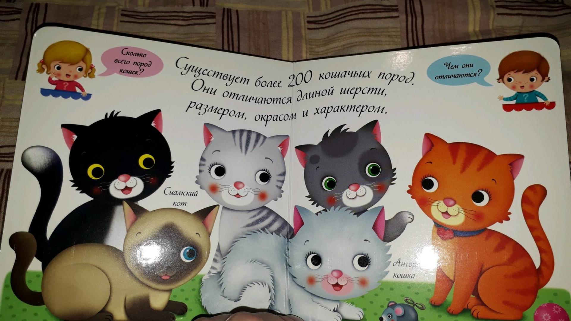 Иллюстрация 12 из 20 для Кошки и котята | Лабиринт - книги. Источник: Баранова Анастасия