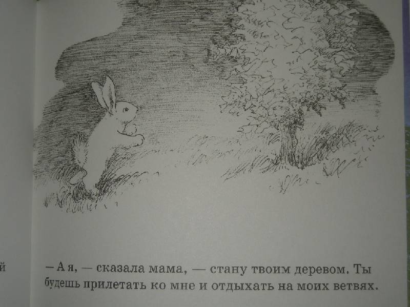 Иллюстрация 41 из 46 для Как зайчонок убегал - Уайз Браун | Лабиринт - книги. Источник: Мартынова  Анна Владимировна