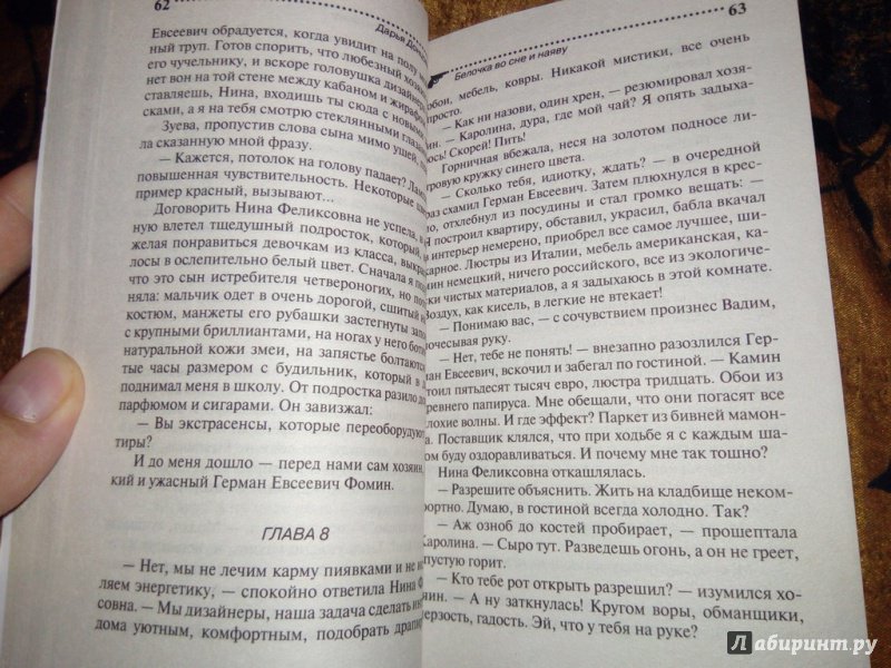 Иллюстрация 33 из 47 для Белочка во сне и наяву - Дарья Донцова | Лабиринт - книги. Источник: Верещагин Олег