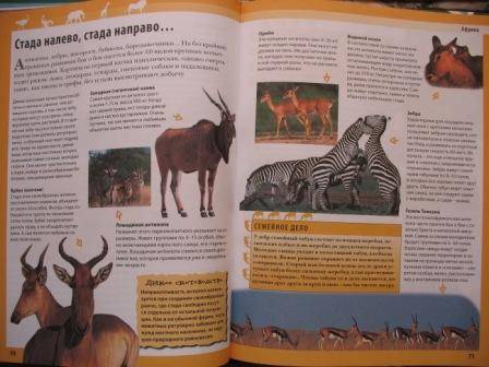 Иллюстрация 32 из 57 для Животные планеты - Кристин Лазье | Лабиринт - книги. Источник: Д@н@я