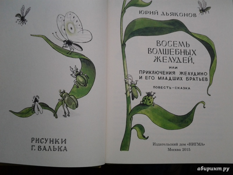Иллюстрация 18 из 64 для Восемь волшебных желудей, или Приключения Желудино и его младших братьев - Юрий Дьяконов | Лабиринт - книги. Источник: Olga