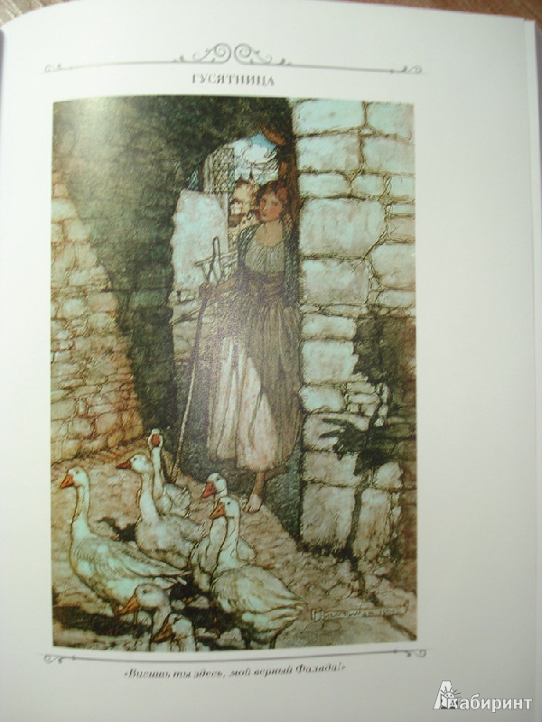 Иллюстрация 14 из 77 для Сказки Братьев Гримм. В 2-х томах - Гримм Якоб и Вильгельм | Лабиринт - книги. Источник: Алиса