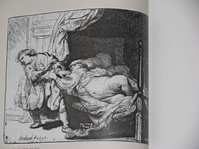 Иллюстрация 12 из 13 для Рембрандт Харменс ван Рейн. Даная | Лабиринт - книги. Источник: Nemertona