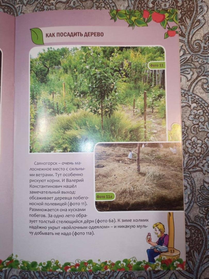 Иллюстрация 15 из 25 для Как посадить дерево - Николай Курдюмов | Лабиринт - книги. Источник: Kаpповa  Oльгa