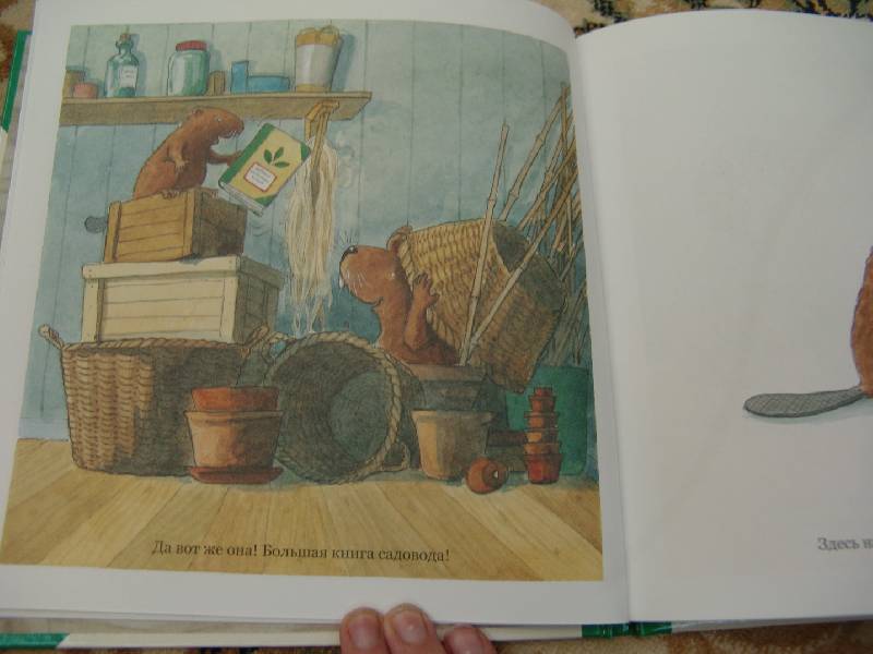 Иллюстрация 40 из 41 для Огород Кастора - Ларс Клинтинг | Лабиринт - книги. Источник: Лаванда