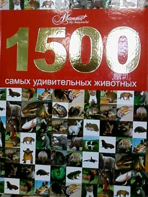 Иллюстрация 5 из 20 для 1500 самых удивительных животных. Животные всего мира от больших до маленьких | Лабиринт - книги. Источник: lettrice