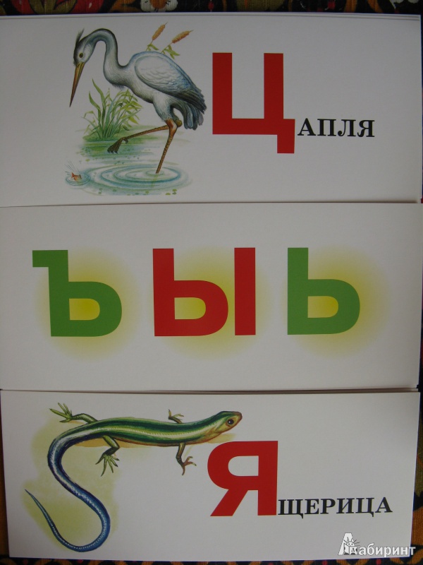 Иллюстрация 9 из 11 для Живая азбука. Набор карточек | Лабиринт - книги. Источник: Rusalochka-777