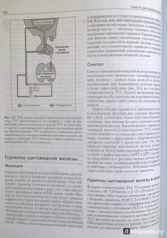 Иллюстрация 24 из 28 для Клиническая биохимия - Маршалл, Бангерт | Лабиринт - книги. Источник: Angreniel