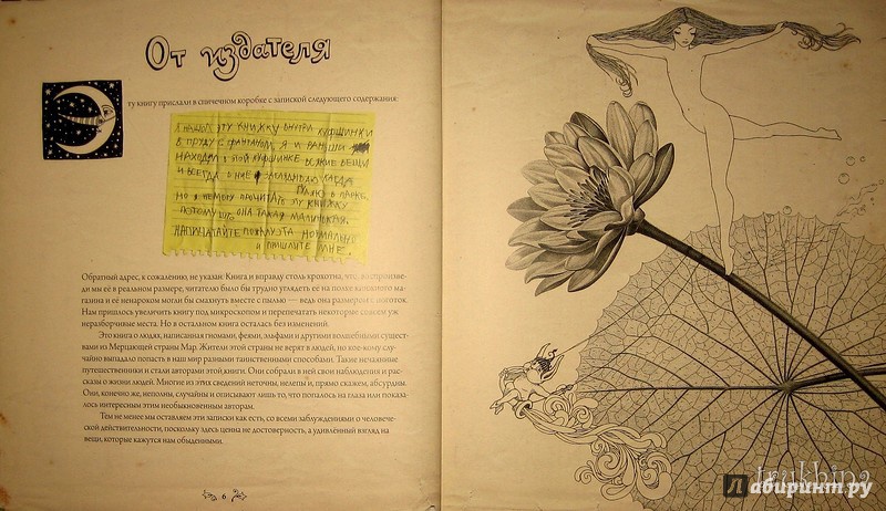 Иллюстрация 58 из 70 для Книга, найденная в кувшинке - Светлана Дорошева | Лабиринт - книги. Источник: Трухина Ирина