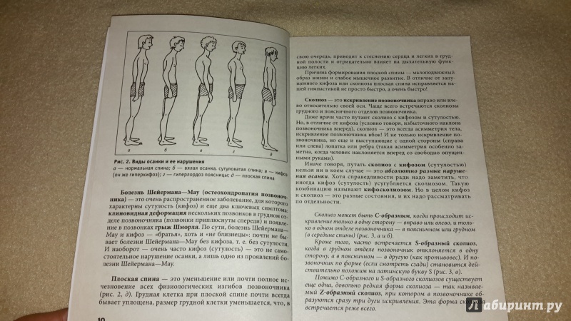 Иллюстрация 17 из 45 для Исправляем осанку. Универсальная лечебная гимнастика - Лана Палей | Лабиринт - книги. Источник: Маруся (@smelayatrysixa)